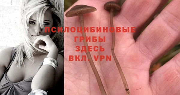 крисы Вязники