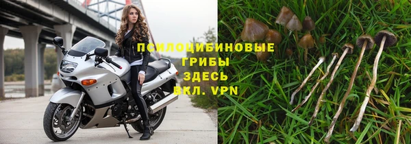метадон Вяземский