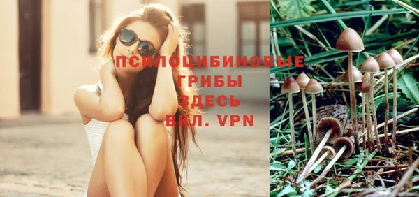 метадон Вяземский