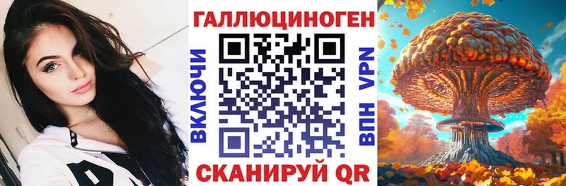 mega онион Тбилисская Псилоцибиновые грибы Psilocybe